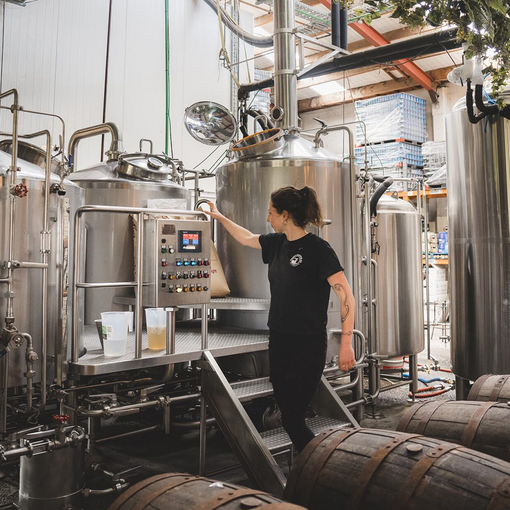 Flavours Festival 2025 | Foodie event in the Bay of Plenty