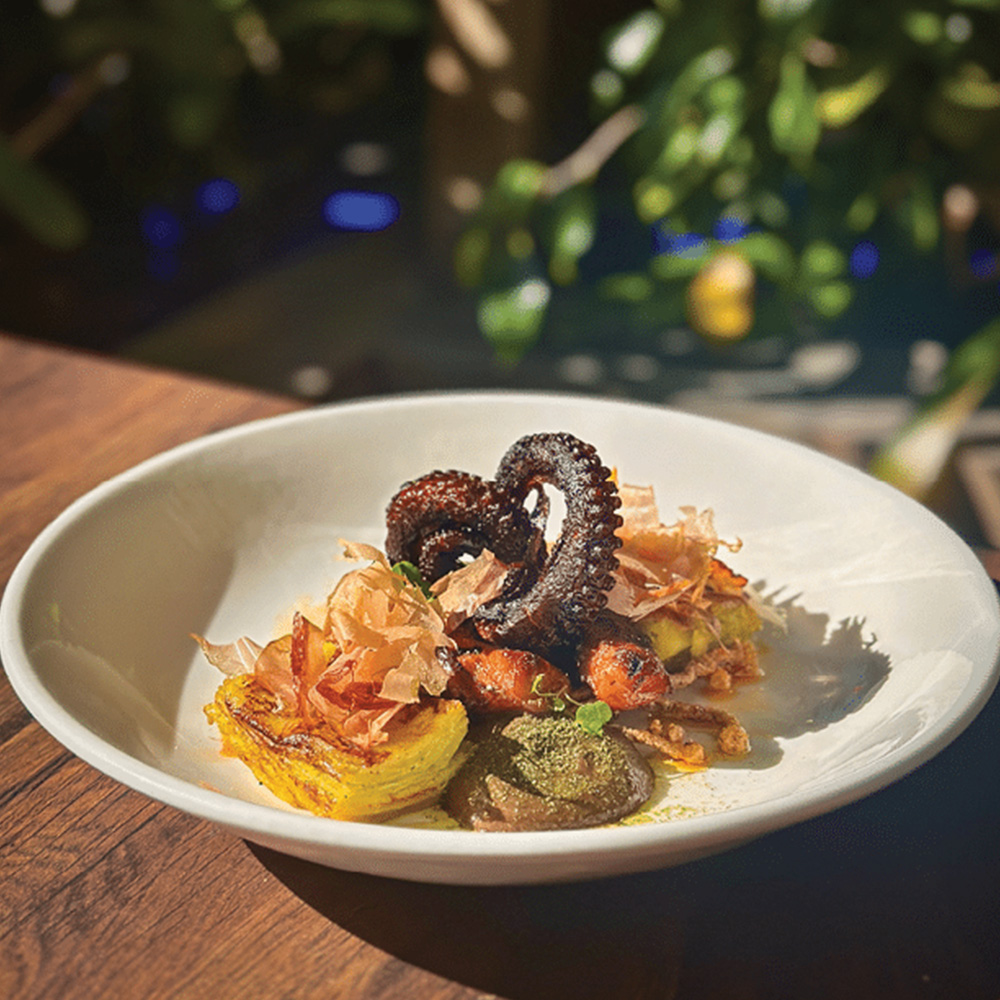 Plates of Plenty Challenge 2025